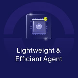 Blog-BG-Lightweight and Efficientjpg